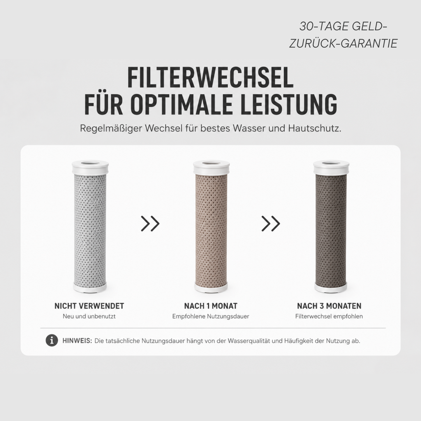 THELUXO 12-Monats Haut- & Haar Bundle (1 FILTER GRATIS)