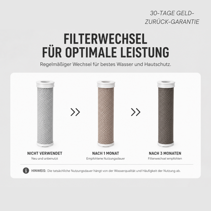 THELUXO 12-Monats Haut- & Haar Bundle (1 FILTER GRATIS)
